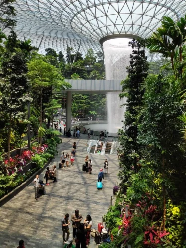 biophilic architecture design