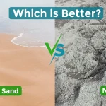 River Sand vs M Sand: Which is Better for Your Construction Needs?