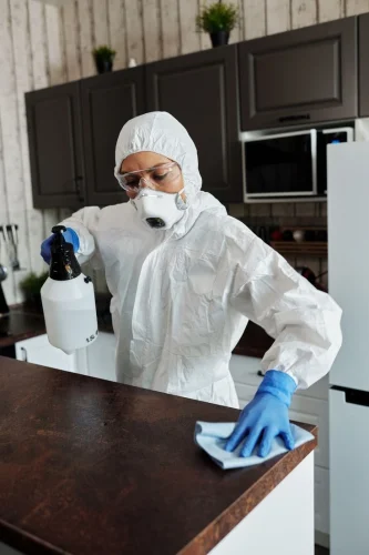 Best Ways to Prevent Termite Damage to Your Furniture 