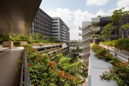 biophilic architecture design