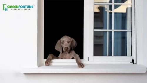 Doors and Windows for a Pet-Friendly Home