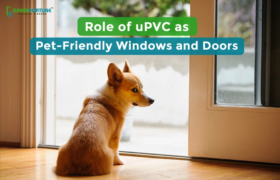 Pet-Friendly Windows and Doors