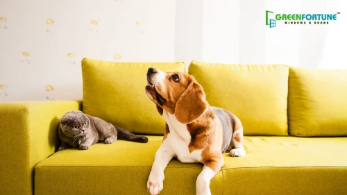Pet-Friendly Walls and Furniture