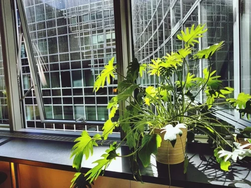 how to create positive energy at home