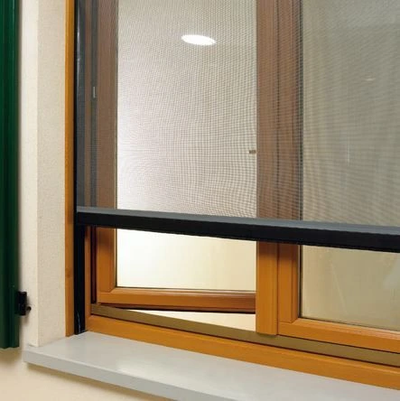 how to get rid of insects in house