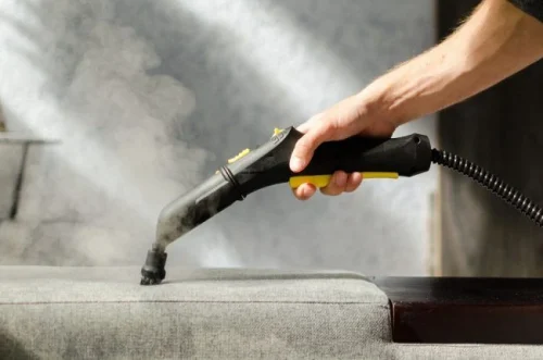 how to get rid of insects in house