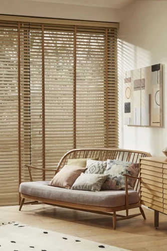 Curtains or Blinds