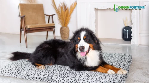 Easy-to-Clean Rugs and Mats