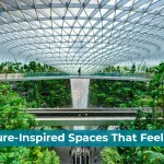 biophilic architecture design