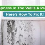 what is dampness