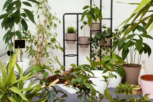 Inspiring biophilic design ideas