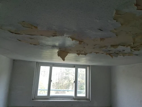 Peeling paint from ceiling