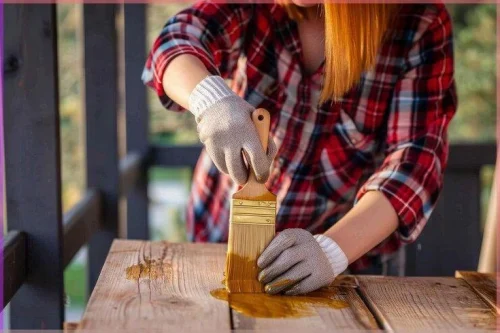 Best Ways to Prevent Termite Damage to Your Furniture 