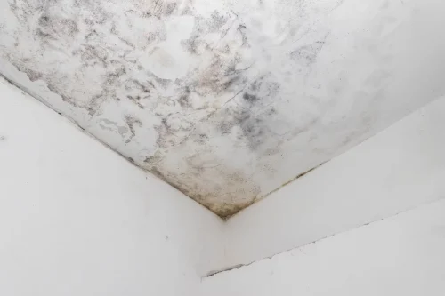 Damp moisture patches on the ceiling
