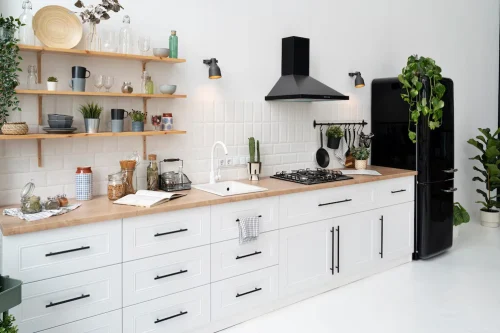 home design vastu shastra
