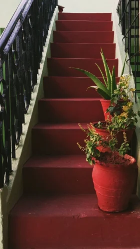 outdoor steps design