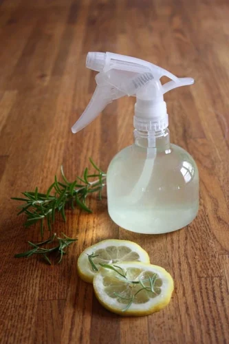 how to get rid of insects in house