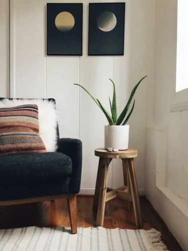 FAQs  1. Can indoor plants survive without sunlight?
While no plant can live in complete darkness, many indoor plants survive with very little natural light. Just rotate them occasionally and avoid placing them on a closed shelf.  2. How often should I water indoor plants?
It depends on the plant. Some need water once a week, like Snake Plant, while others, like Peace Lily, prefer moist soil. Always check the topsoil before watering.  3. Can I keep indoor plants in the bathroom?
Yes. Plants like Aloe Vera, Chinese Evergreen, and Peace Lily thrive in the humidity of bathrooms and also help freshen the air.  4. Do I need special pots for these plants?
No. Just make sure the pot has drainage holes. You can get creative with ceramic, clay, or even glass jars for water rooting plants.  5. Can I keep air-purifying plants in air-conditioned rooms?
Yes. Many indoor plants, like Peace Lily and Rubber Plant, can tolerate AC environments but should not be placed directly under cold airflow.
