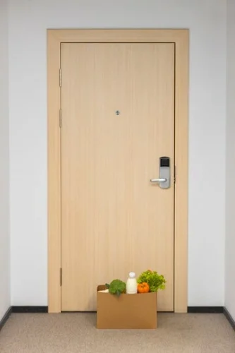 What is Flush Doors