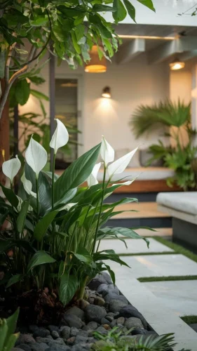 10 Best Indoor Air Purifying Plants for Modern Indian Homes