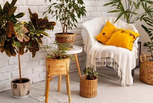 Elements of biophilic design