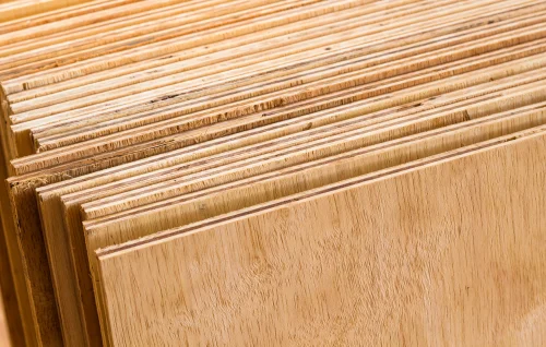 Benefits of Termite-Proof Plywood