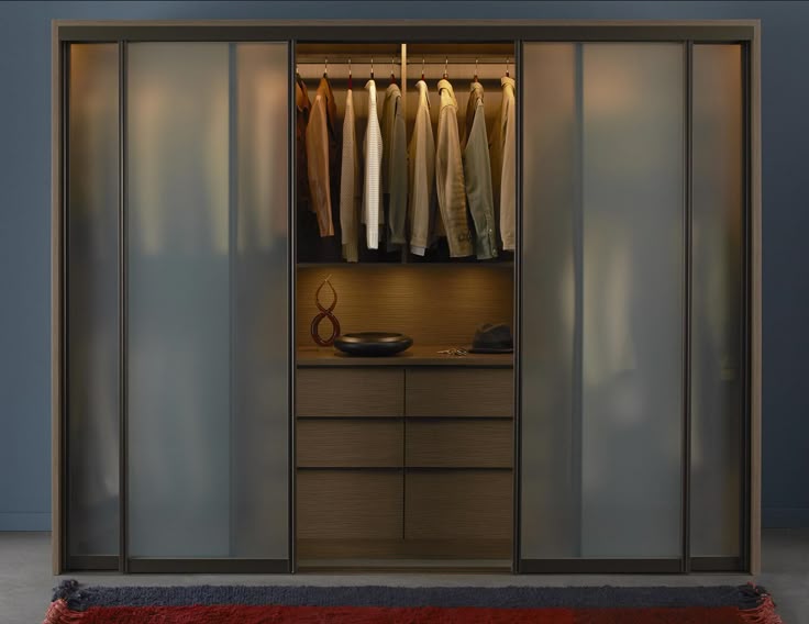 Smoked Glass Sliding Doors
