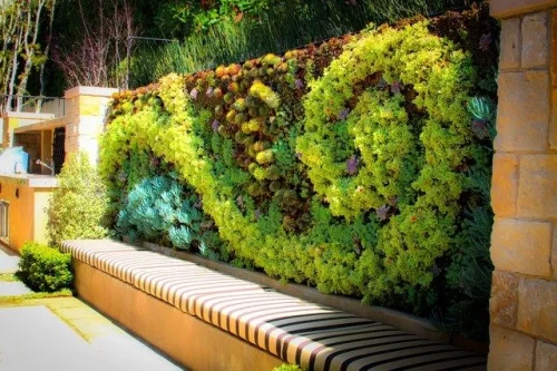 vertical garden plants