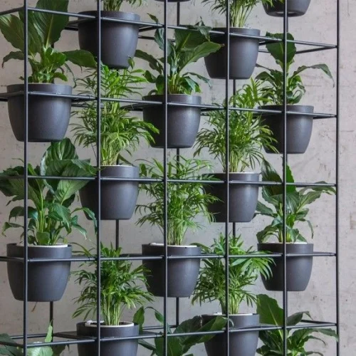 vertical garden plants