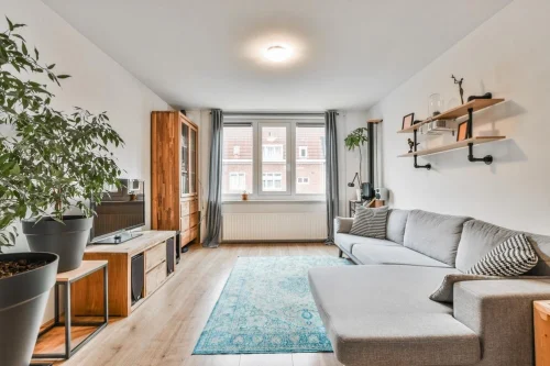 Apartment vs Independent House