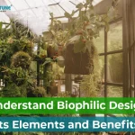Know the elements and benefits of biophilic design