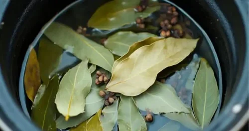 how to get rid of insects in house
