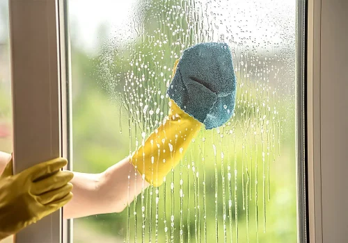 So Easy to Clean and Maintain
