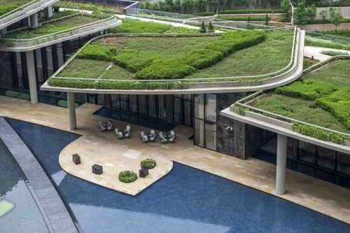 Green Roofing?
