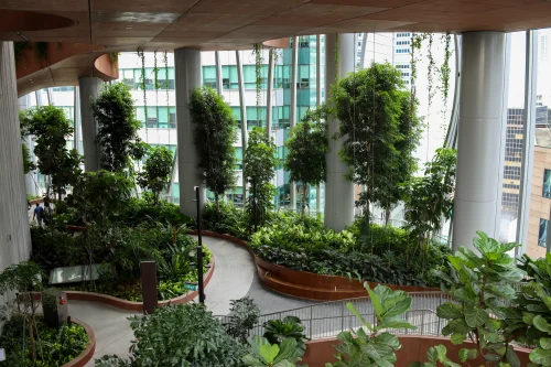 biophilic architecture design