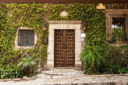 Main Entrance Door
