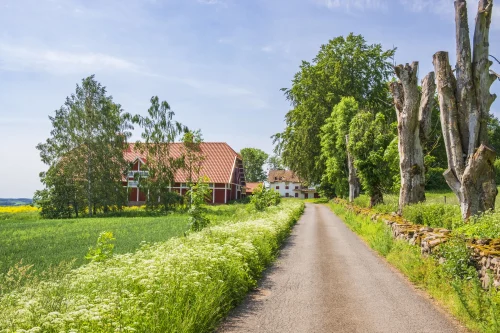 types of housing in india
