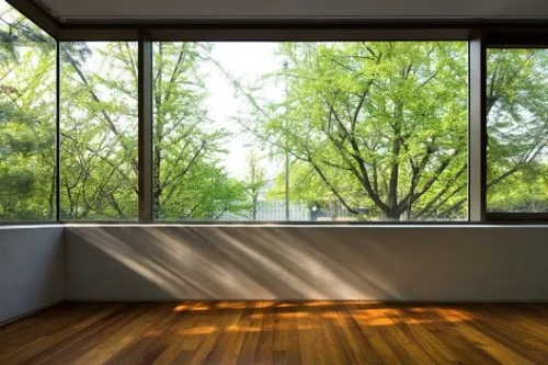 Top Reasons to Choose Minimal Frame Windows for Your Next Renovation