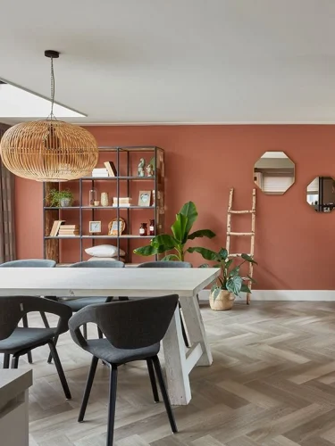 color zoning interior design