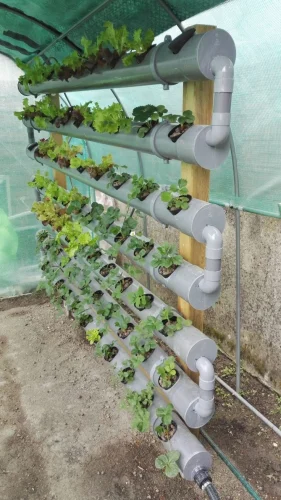 PVC Pipes