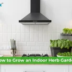 Herbal Planter Kitchen Shelf Ideas to Grow Fresh Greens at Home