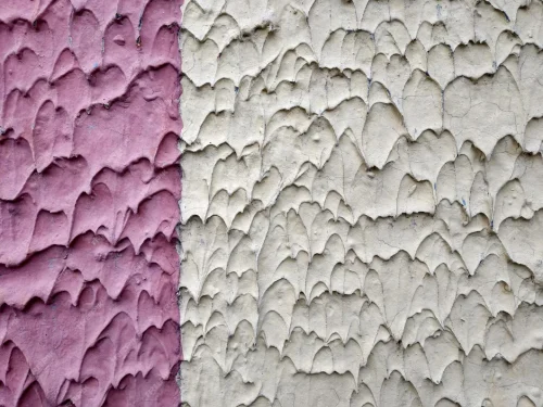 Stucco and Plaster Finishes