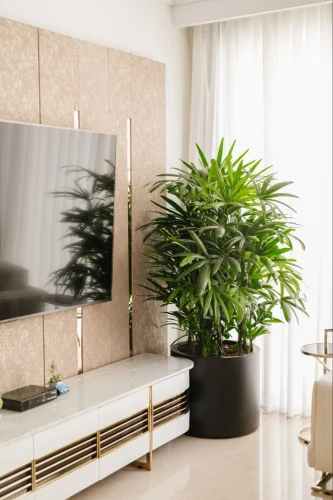 Indoor Air Purifying Plants