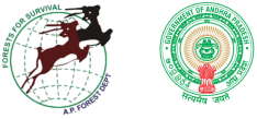 Logo 14