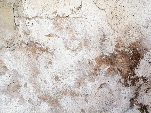 what is dampness