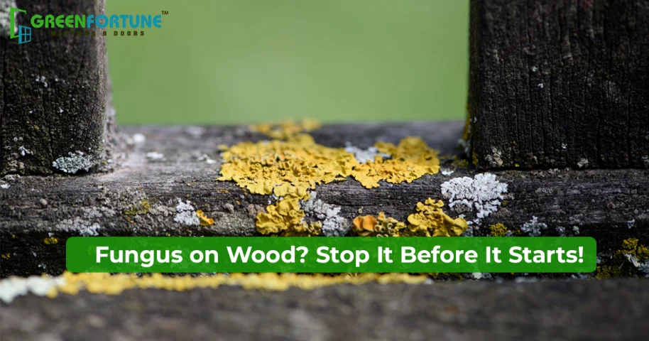 Fungus On Wood