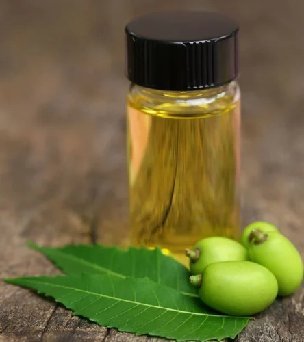how to get rid of insects in house