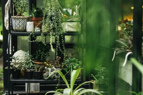 Biophilic Design