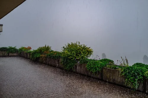High-Rainfall or Coastal Areas
