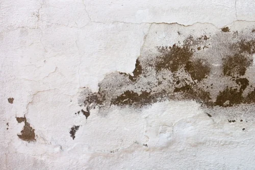 what is dampness